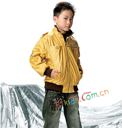 佐丹王子