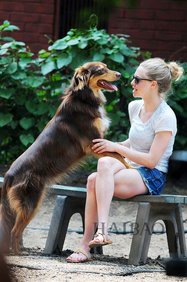 阿曼达·谢弗雷德 (Amanda Seyfried) 和爱犬Finn